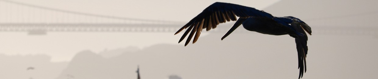 Daniel Bazinet Music