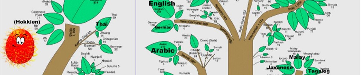 Deerfield Academy-Arabic