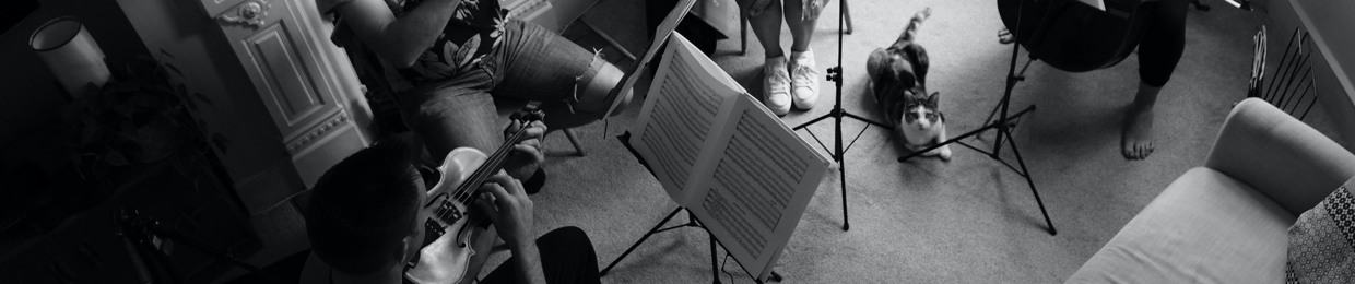 Estilo String Quartet