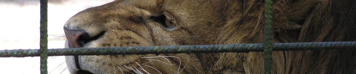 Durags and Boatshoes