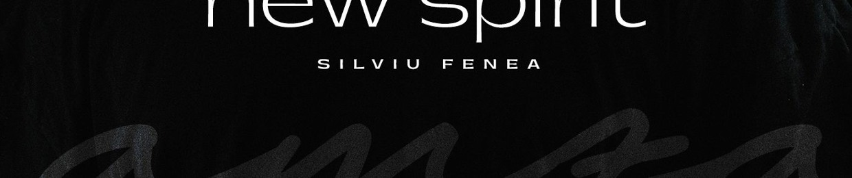 Fenea Silviu - SET