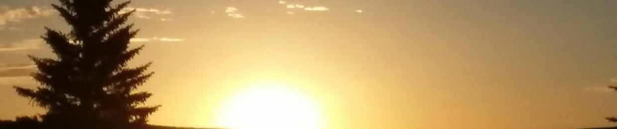 "Backyard Boogie Productions"