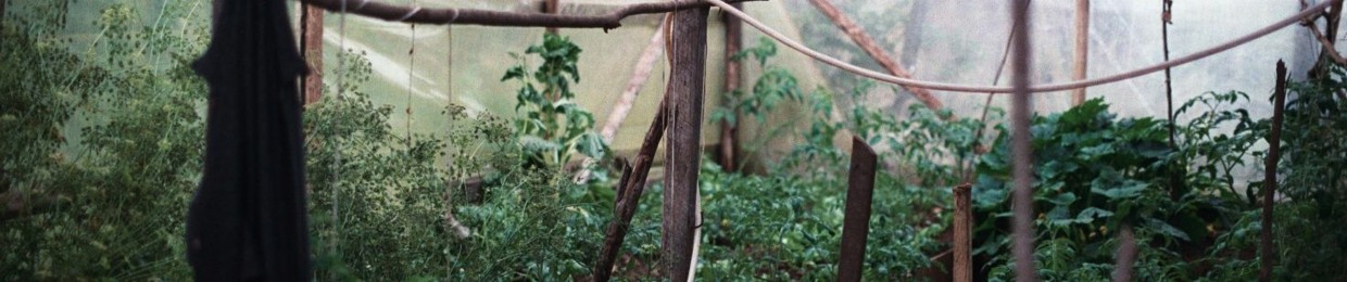 Khajiit