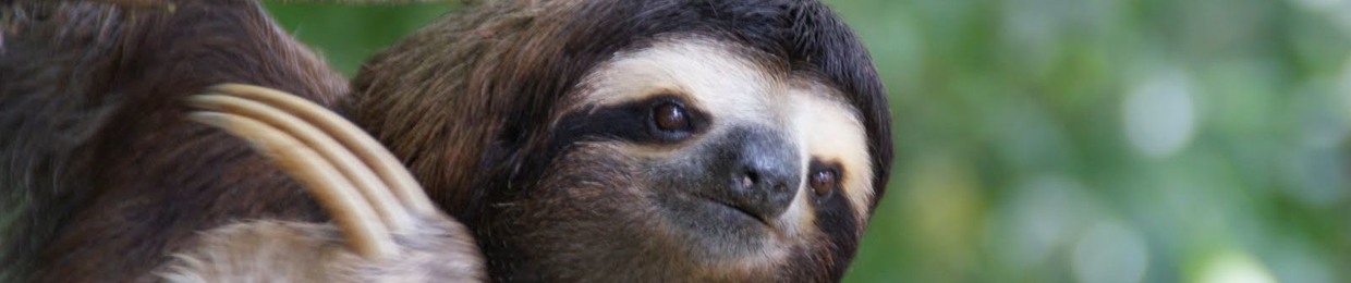 MATUMBA2X