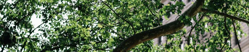 SoundCloud banner for @comoros