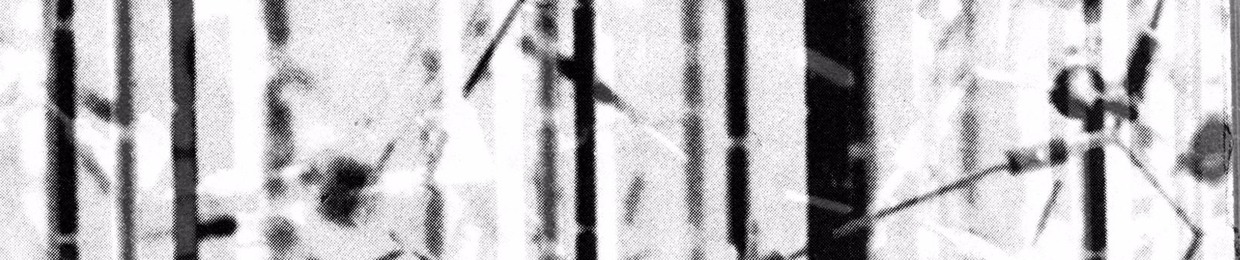 Phantom Image
