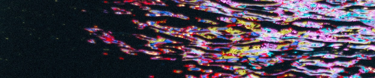 Brandon Michael Young