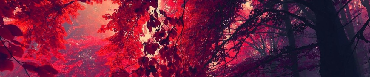 Katja Šuštar (NeŠe)