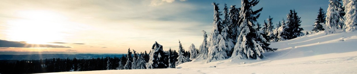 Tobiaswik