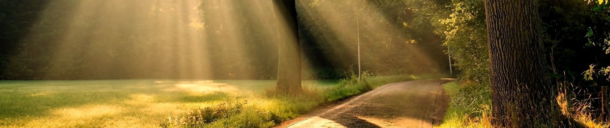 The CSR Direct Project