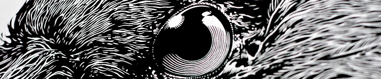 Raven[X]