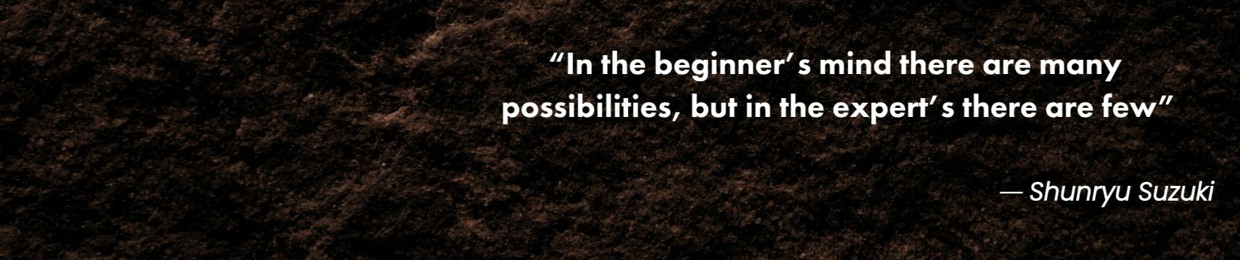 The Eternal Beginner