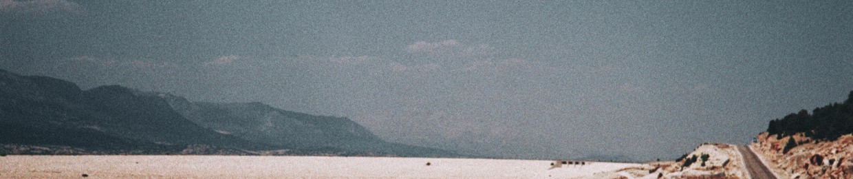mejetski