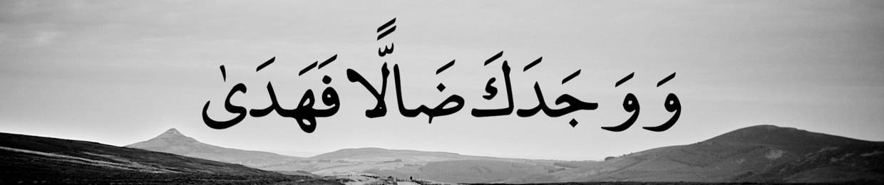 mohamed abdallah
