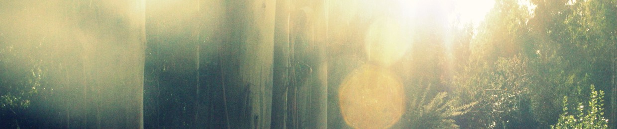 Avantikä ëxperimenT