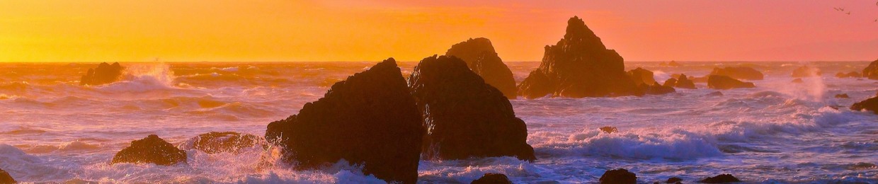 ✰Milennia Sunshine✰