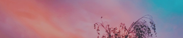 SoundCloud banner for @url