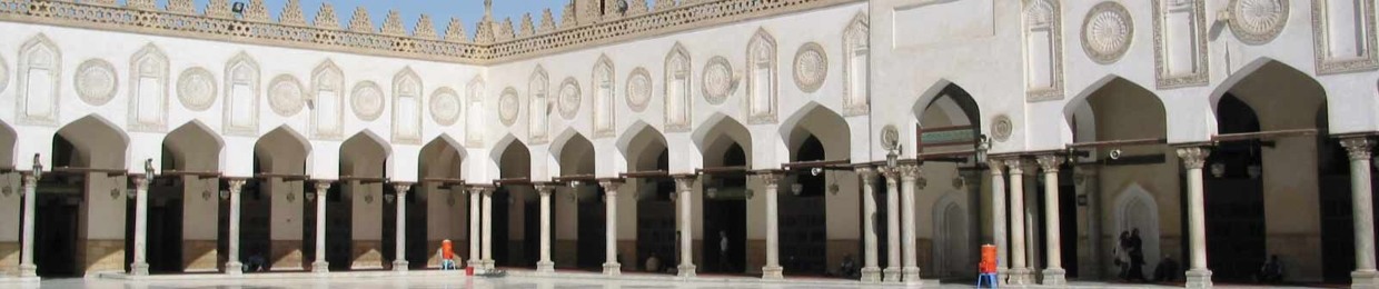 عمرو شريف الحويني