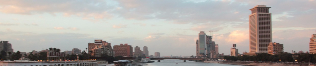 Hussein Fahmy