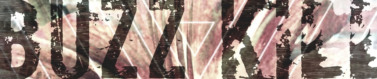 Buzz Kill Music Productions