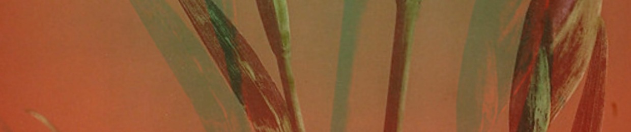 Lo Sy Lo / Sam Connour