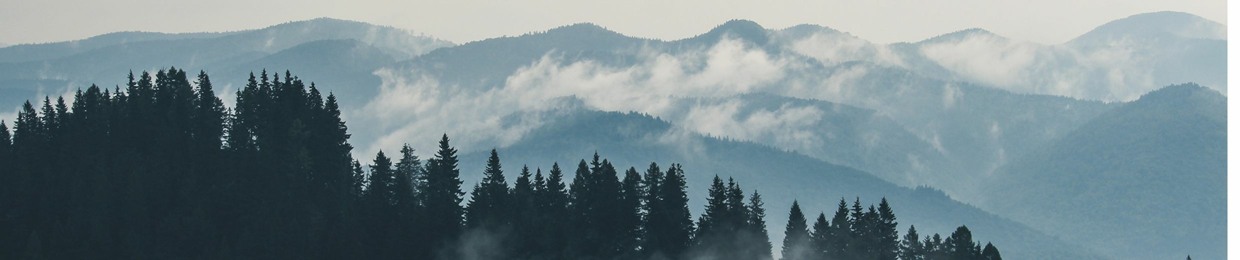 Joe carcia and The Wayside Revival