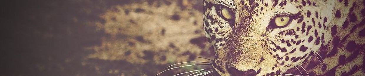 .Sunshiine GoodfeLLa.