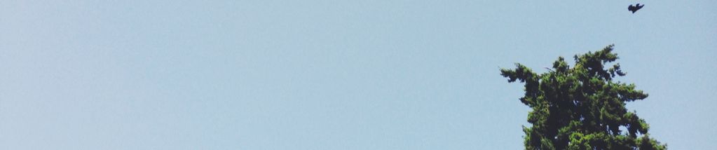 SoundCloud banner for @caregiver