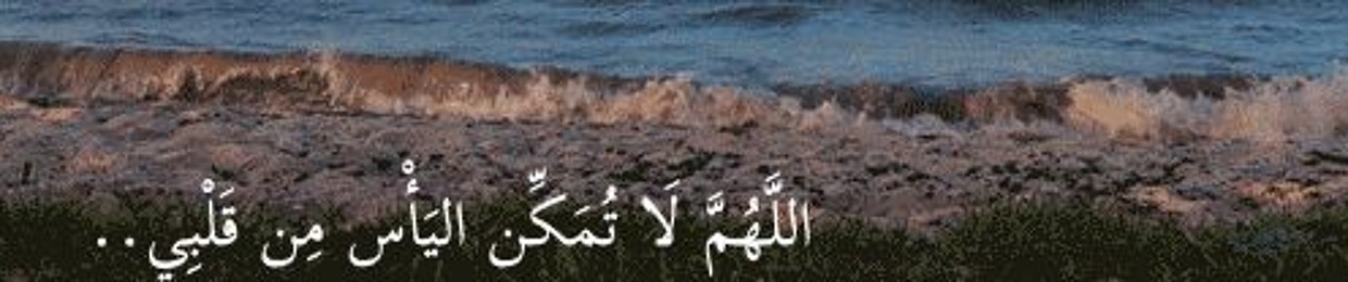 Mohammed Elsayed