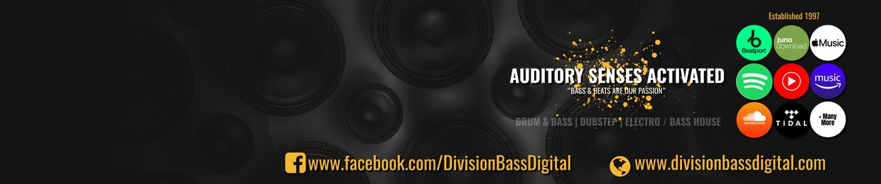 DivisionBass Digital Records
