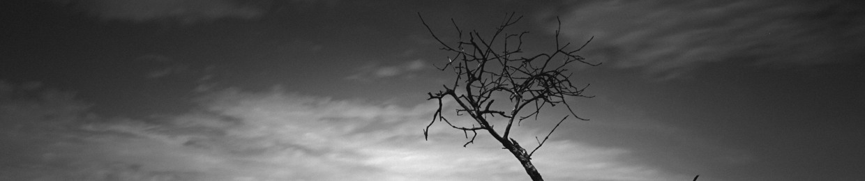 duan leland