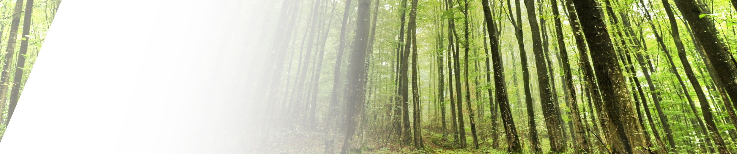 SoundCloud banner for @insects