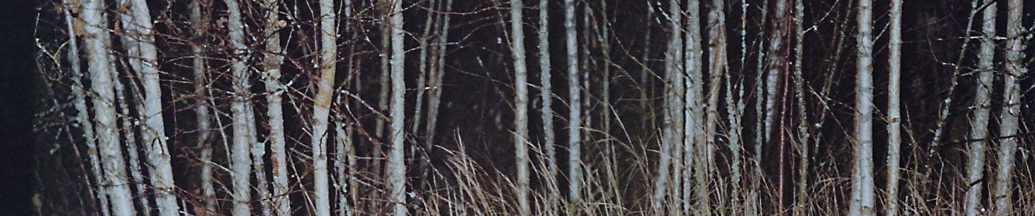 SoundCloud banner for @liem