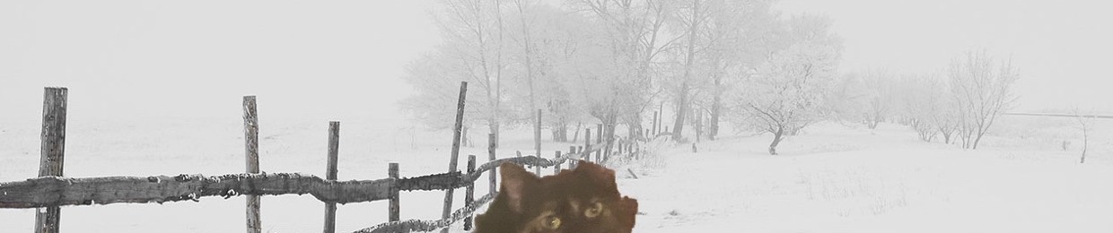 wolfe mcbane