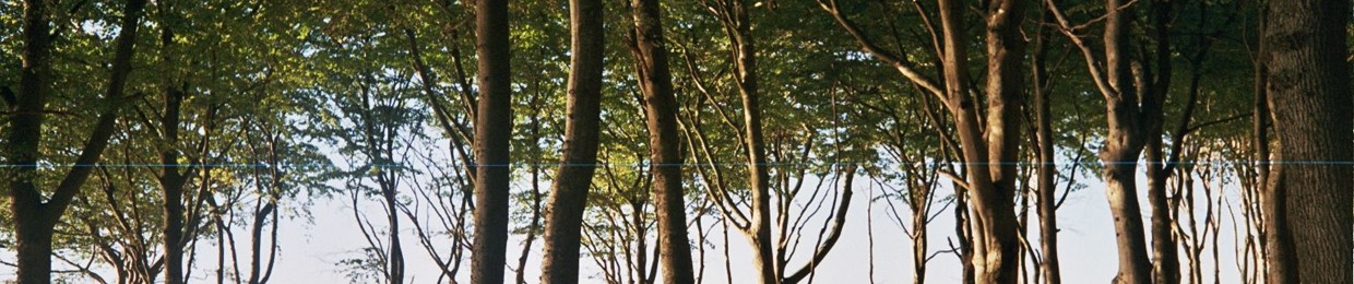 Słodycz