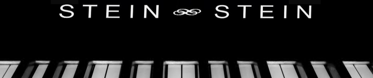 Raphael Stein {RaySteinMedia} {EricSteinMedia}