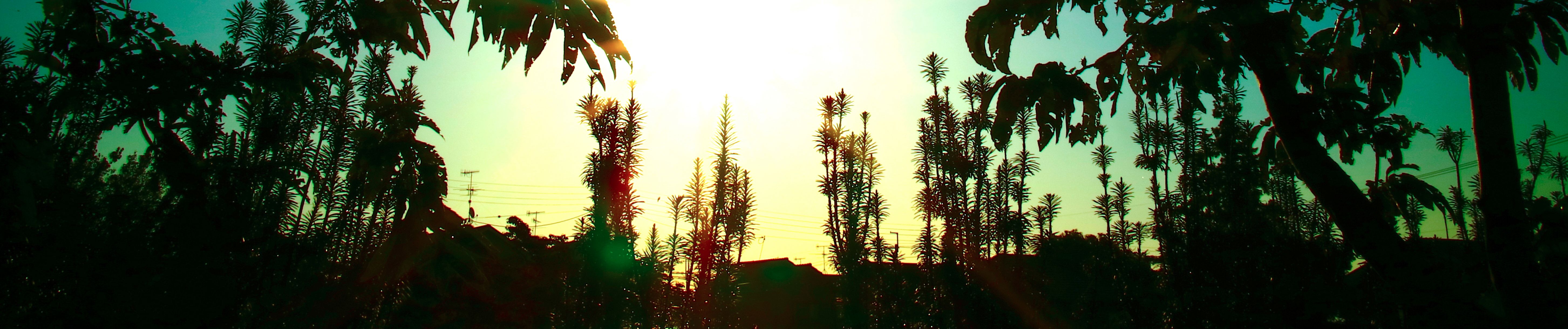 Sebben Crudele By Tomoki Hasegawa