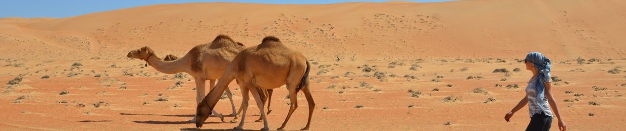 Sahara desert Tunisia ღ