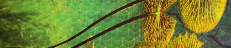 SoundCloud banner for @biosynthesis