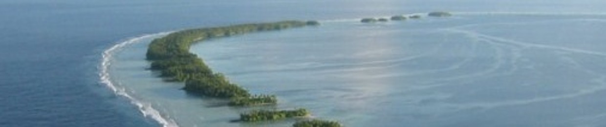 Marangiboy (Reed Tonga)