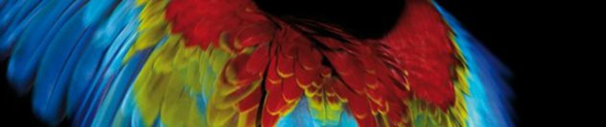 Christopher Lance Brown