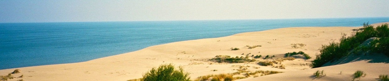 sandbank
