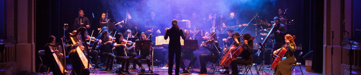 Lucas Bittini-VideoGame Composer
