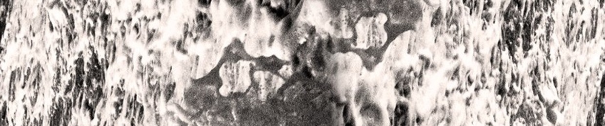 sorenkafka