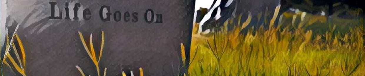 johndoe691