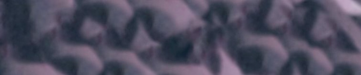 Nick Roeslein Oleksiak