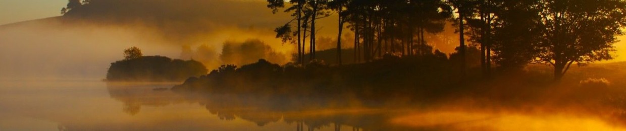 Sébastien de Meulemeester