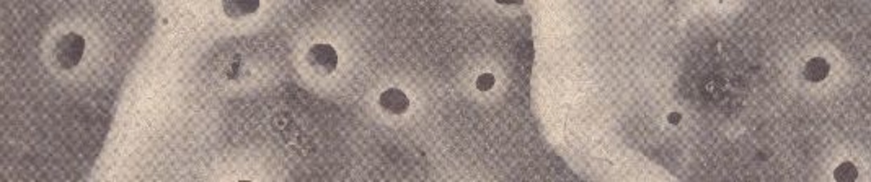 b | o | d | i | a | h