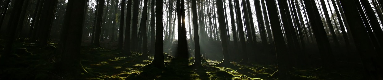 Joshua Navas (choma)