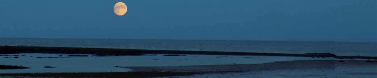 SoundCloud banner for @enrico